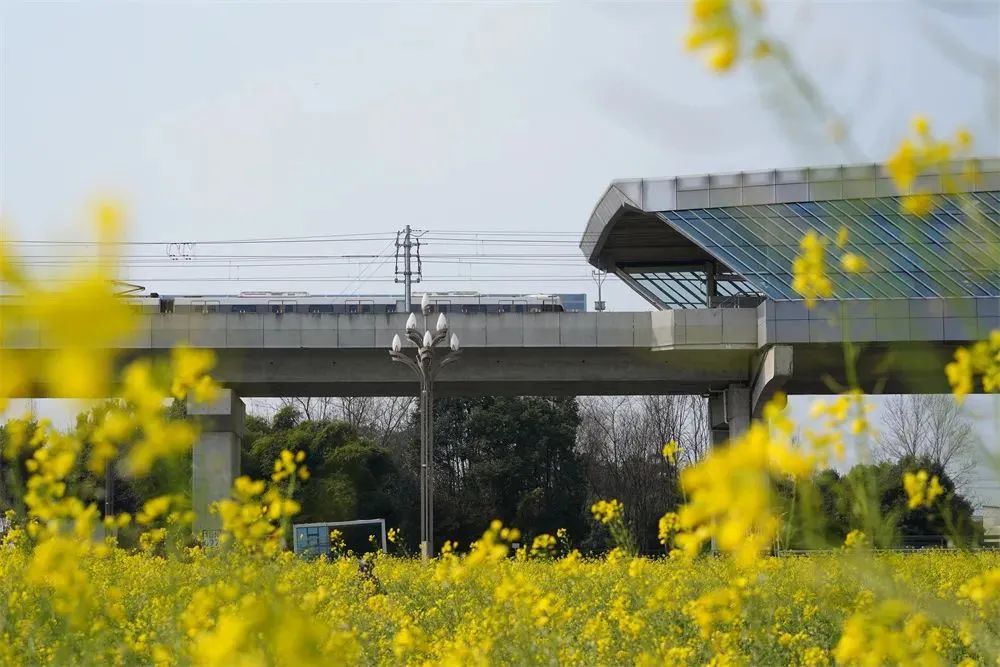 640 (41)