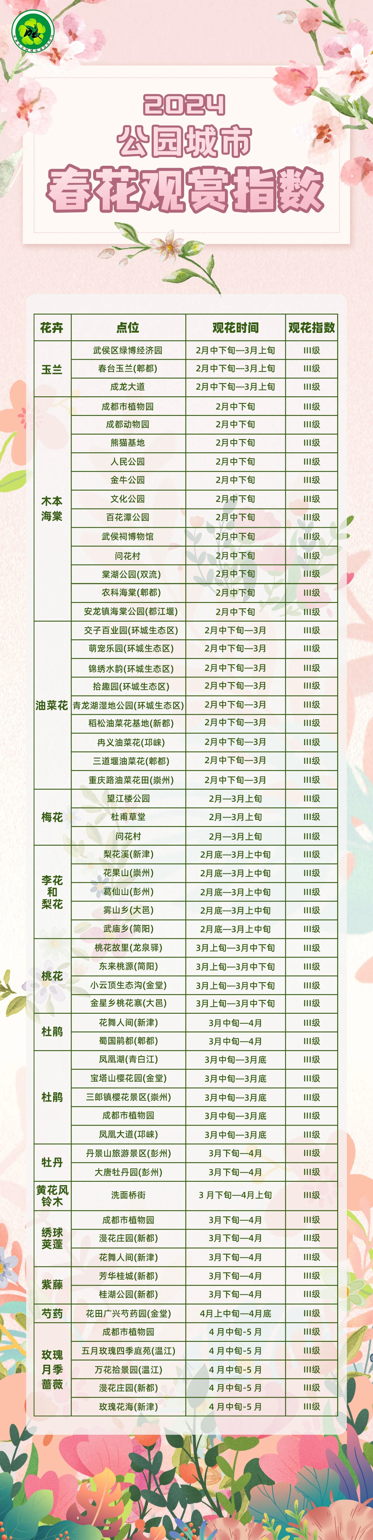 春花1