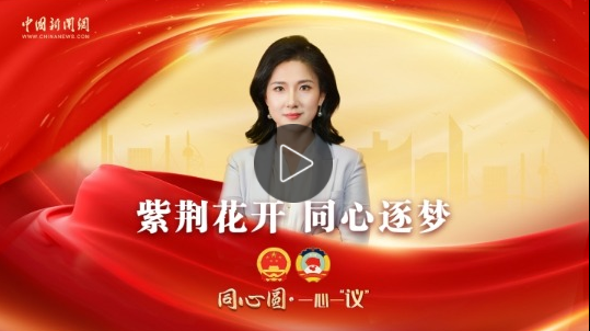 点击看视频