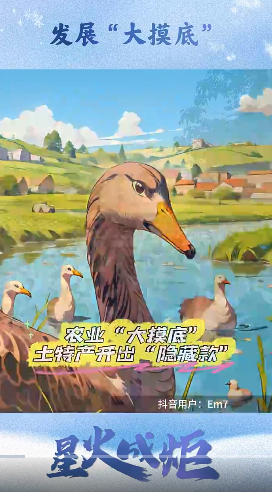 点击检察视频