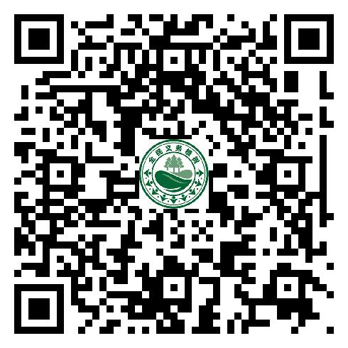 图片14