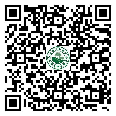 图片15