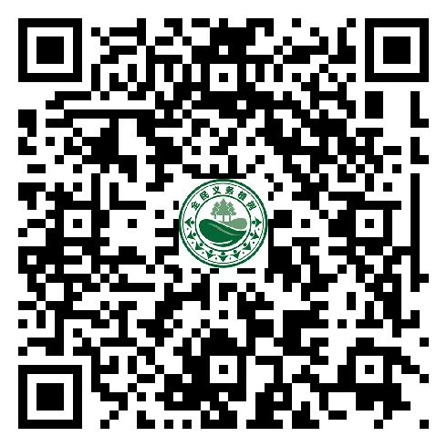 图片16
