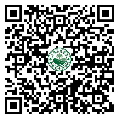 图片18