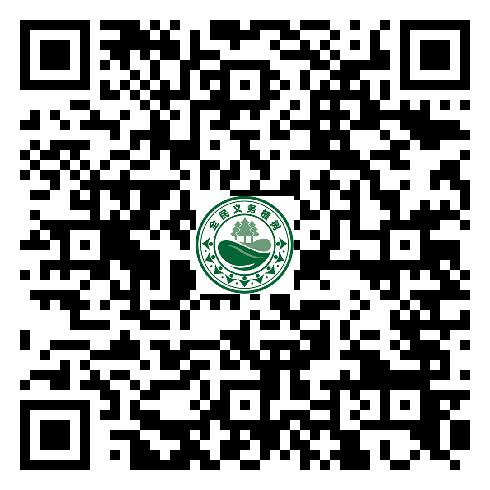 图片20