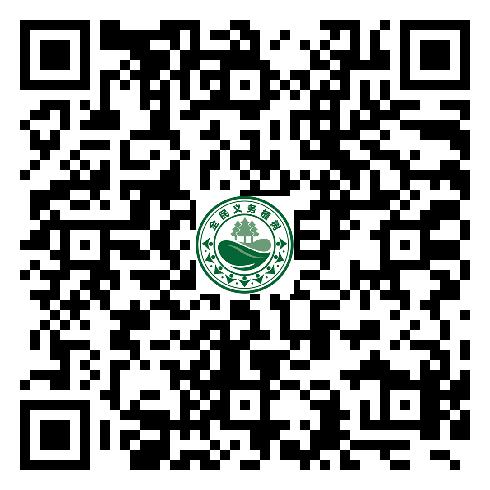 图片26