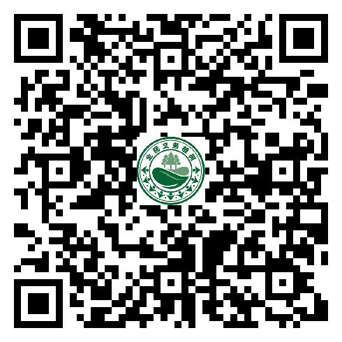 图片27