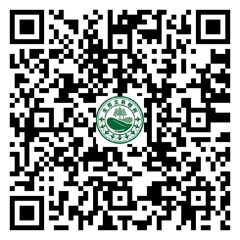 图片28