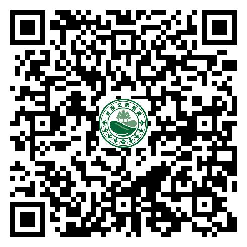 图片32
