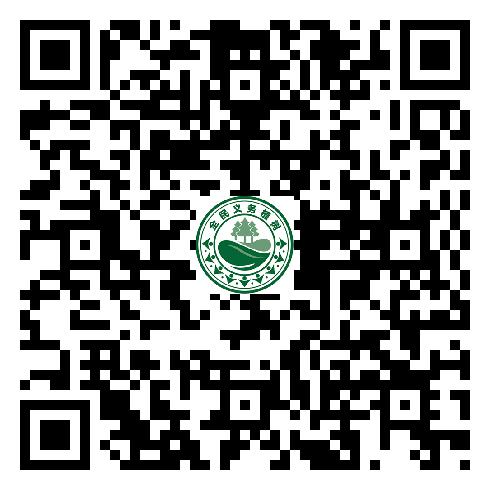 图片31