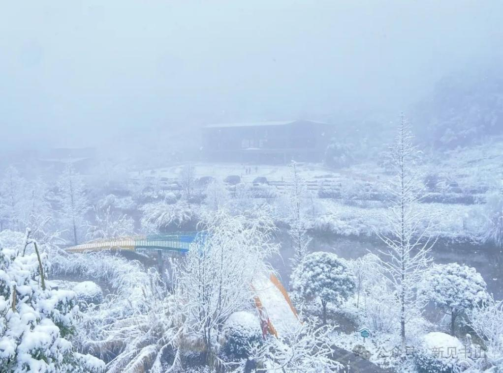 新见书山14