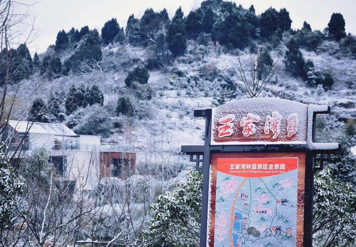 新见书山15