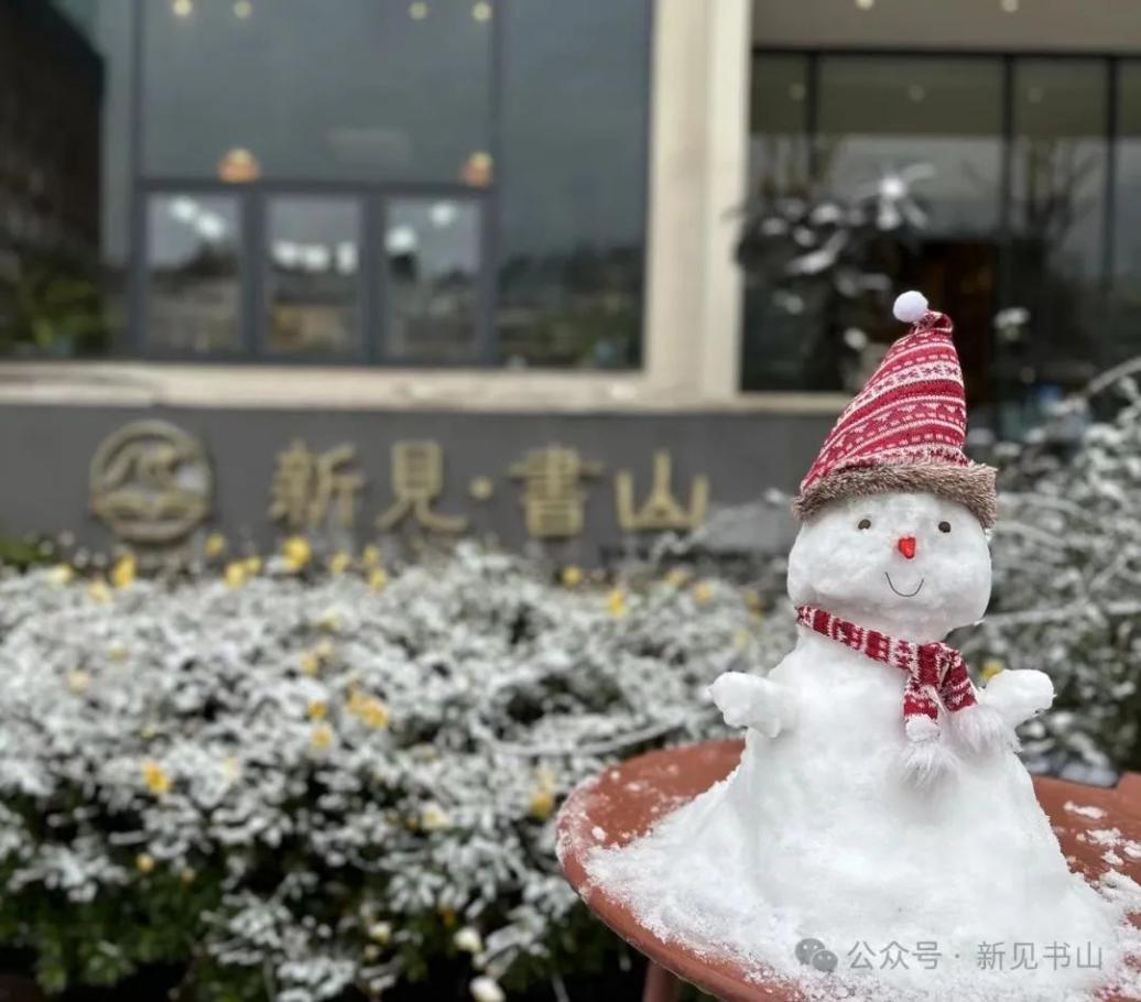 新见书山16