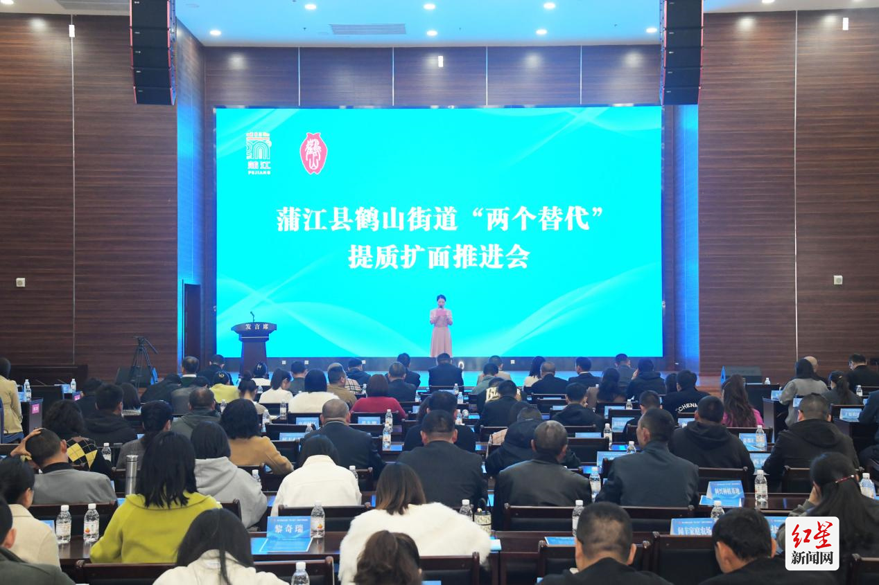 鹤山街道“两个替代”提质扩面推进会现场