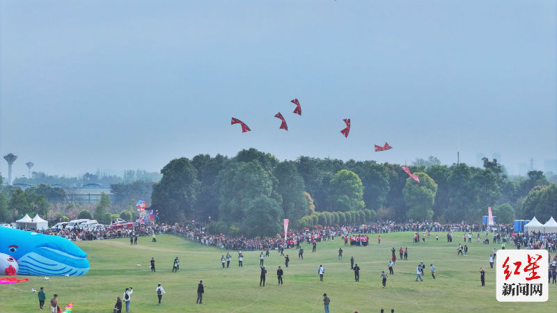 dji_fly_20240324_091714_0065_1711163088873_photo-01