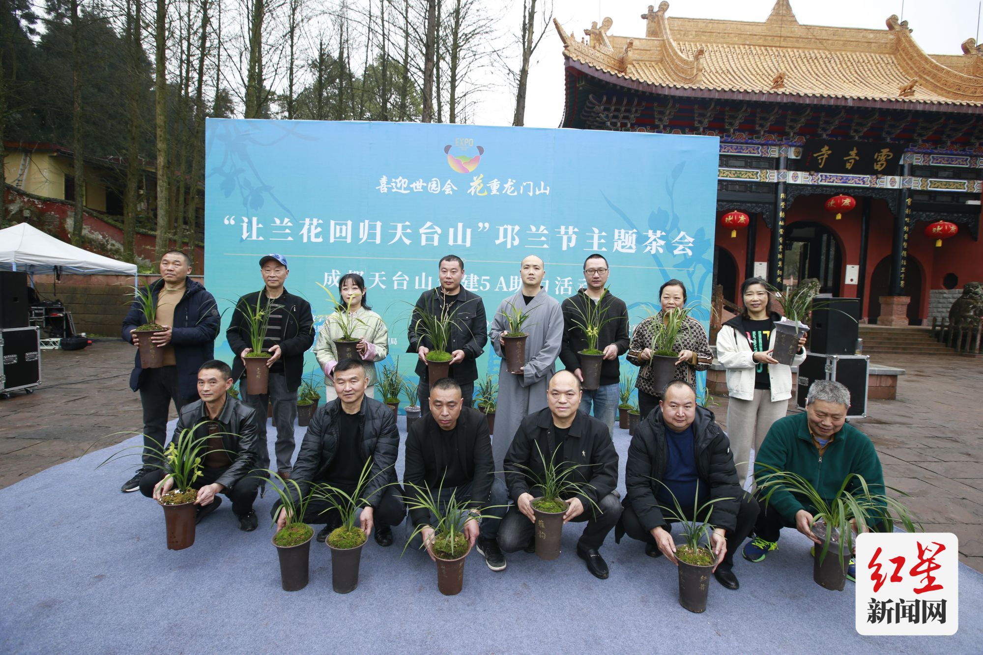 兰花1