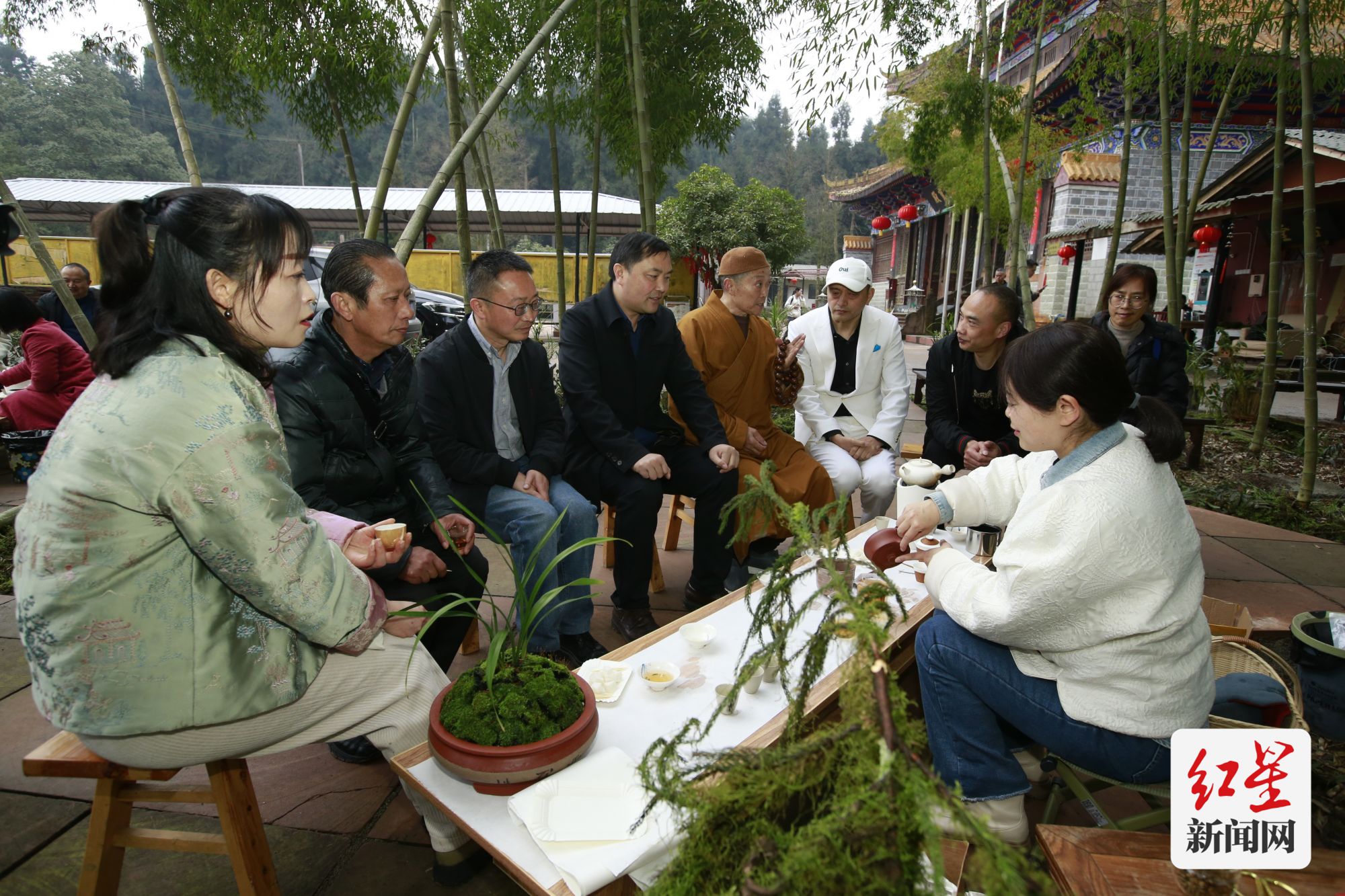 兰花2