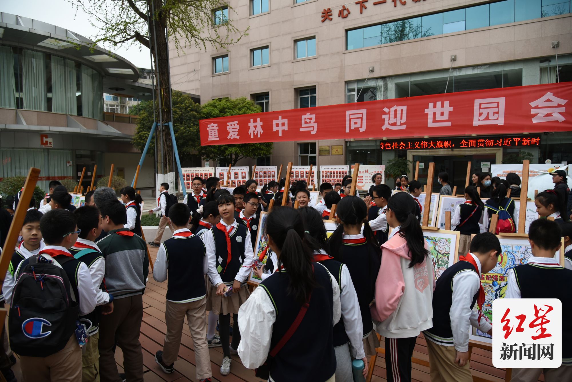 爱鸟