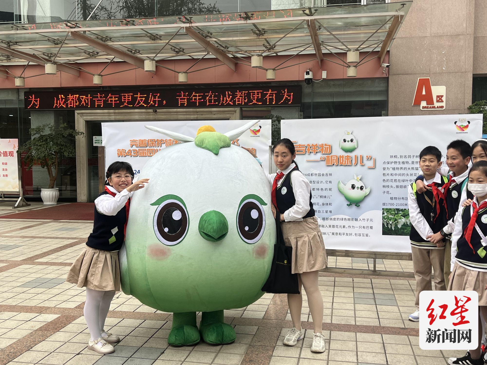 爱鸟1