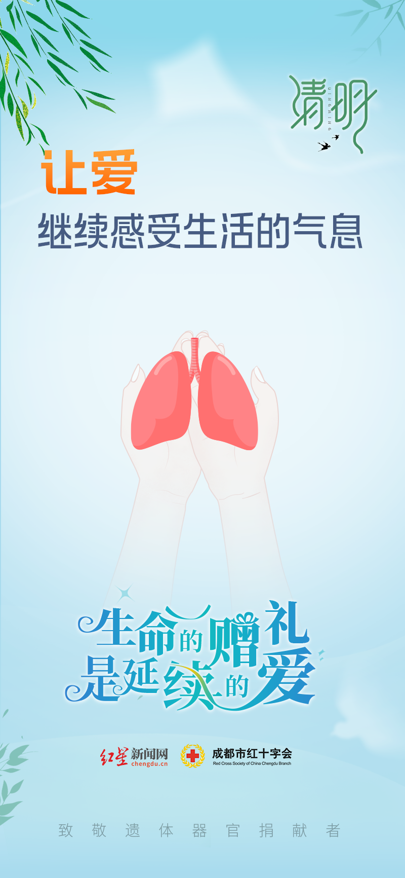 肺——清明节1