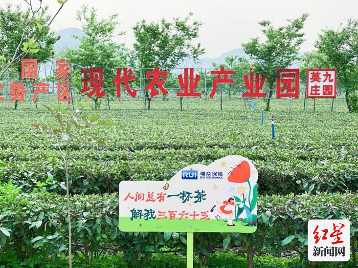保险1