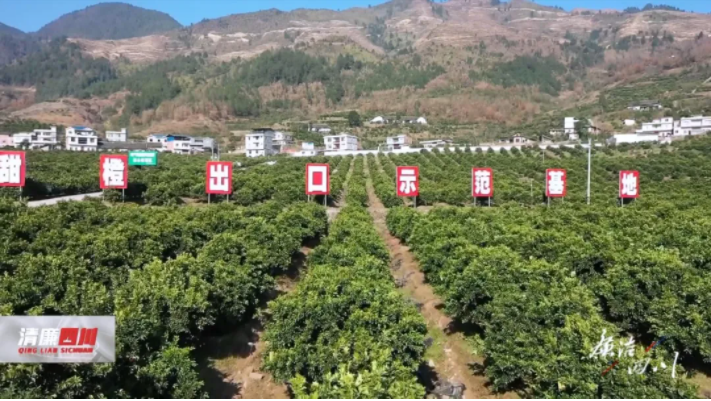 通知2