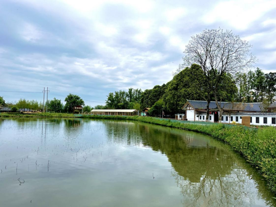 风景如画水梨村