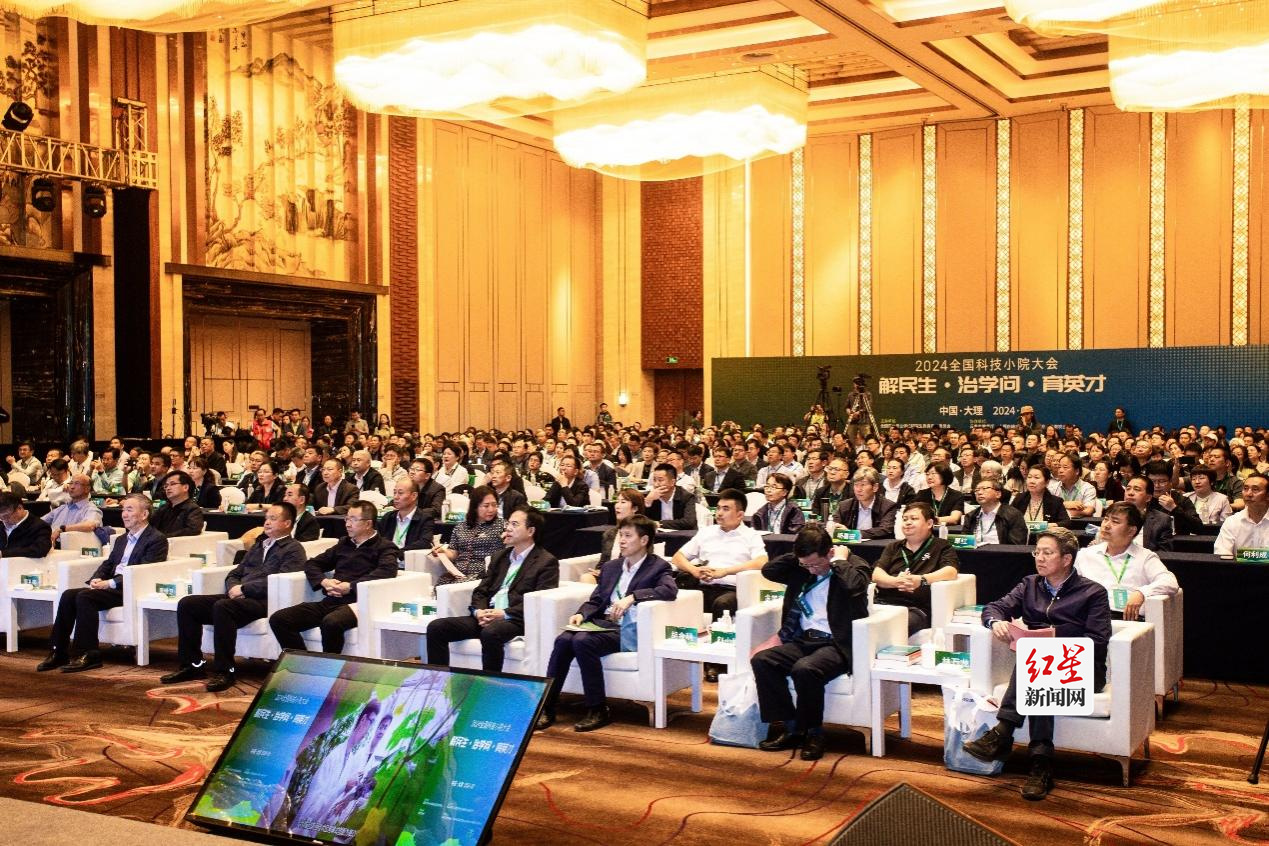 图片1 (1)
