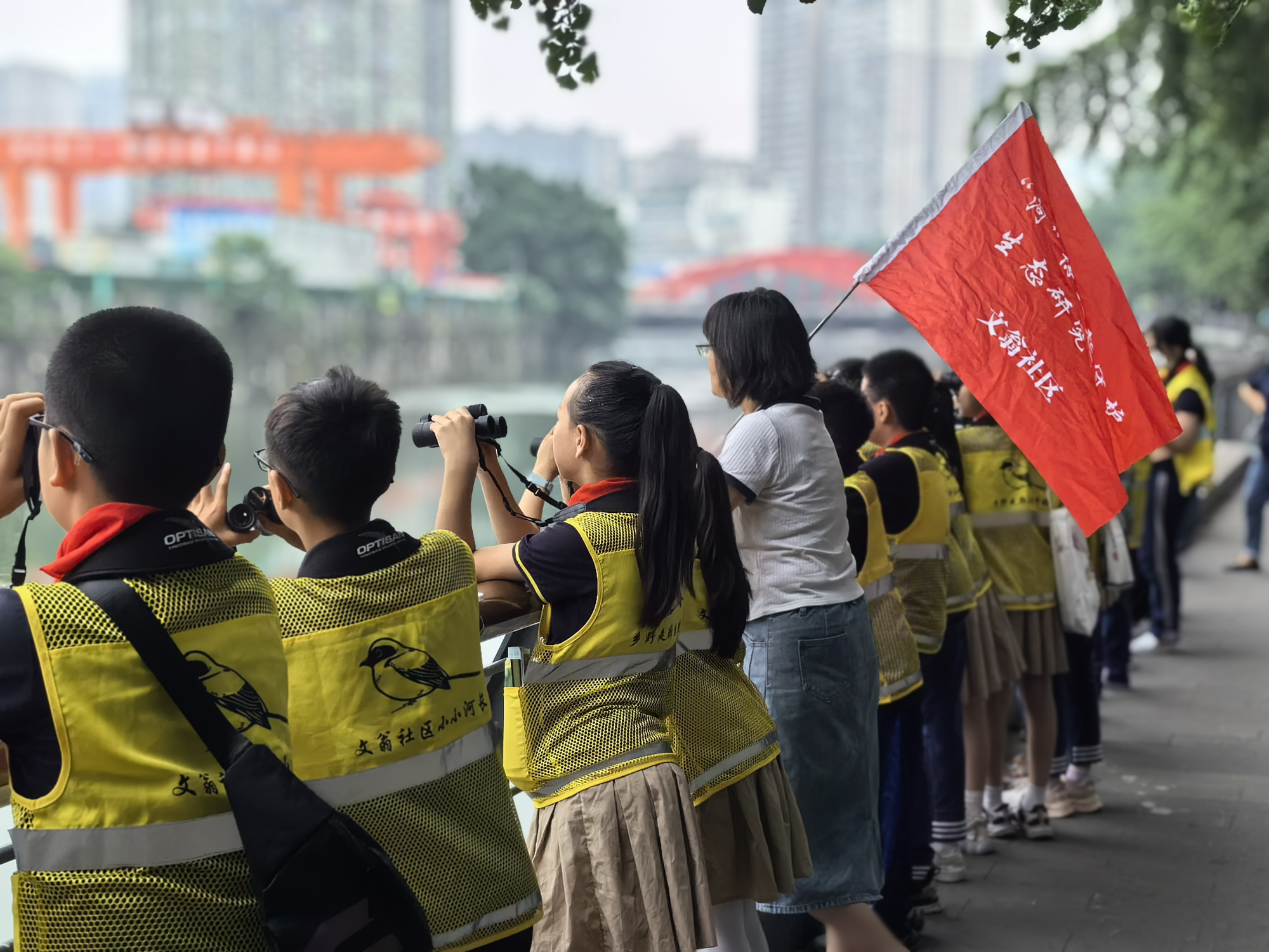 图片17