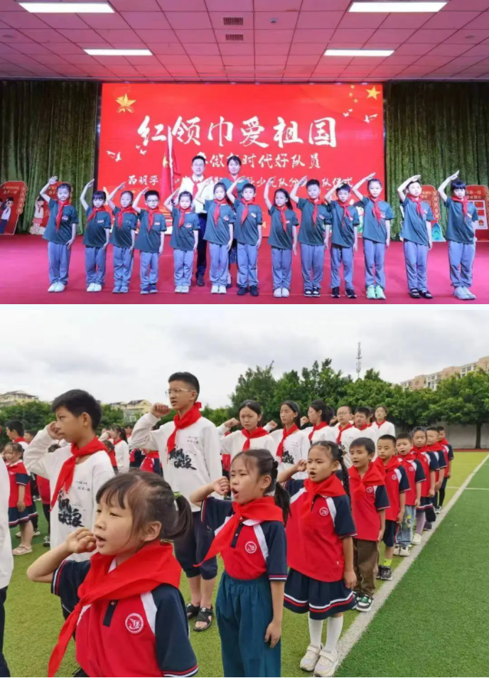 扬帆11