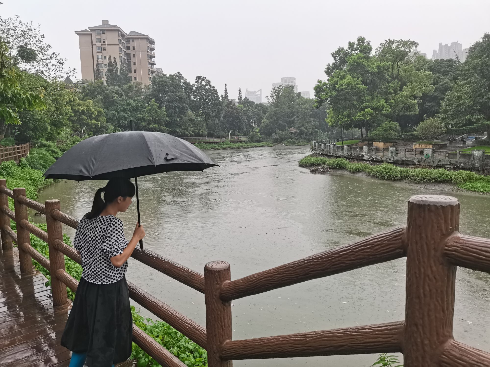 社区河长淡雪在江安河边巡河