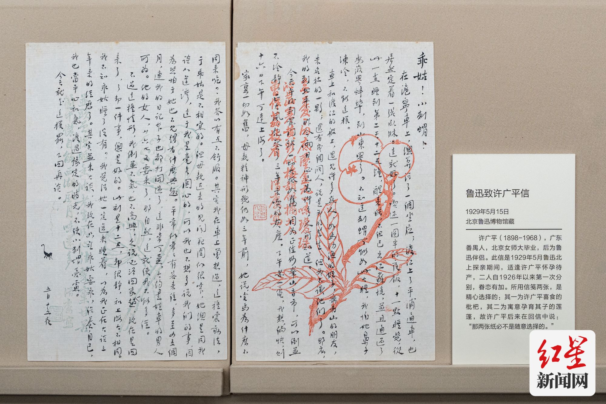 鲁迅致许广平信 1929年5月15日 北京鲁迅博物馆藏