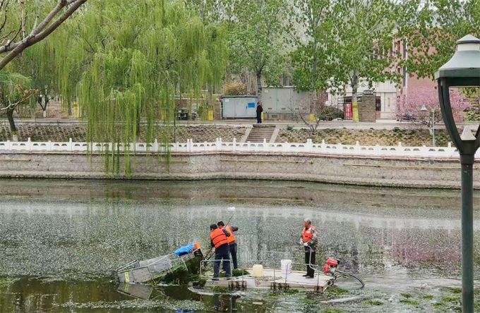 武清区水务局水面保洁工作人员正在进行水草清理工作。天津市武清区水务局供图