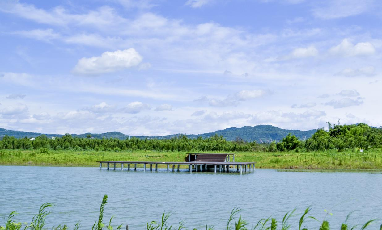 桤木河（青白江区段）