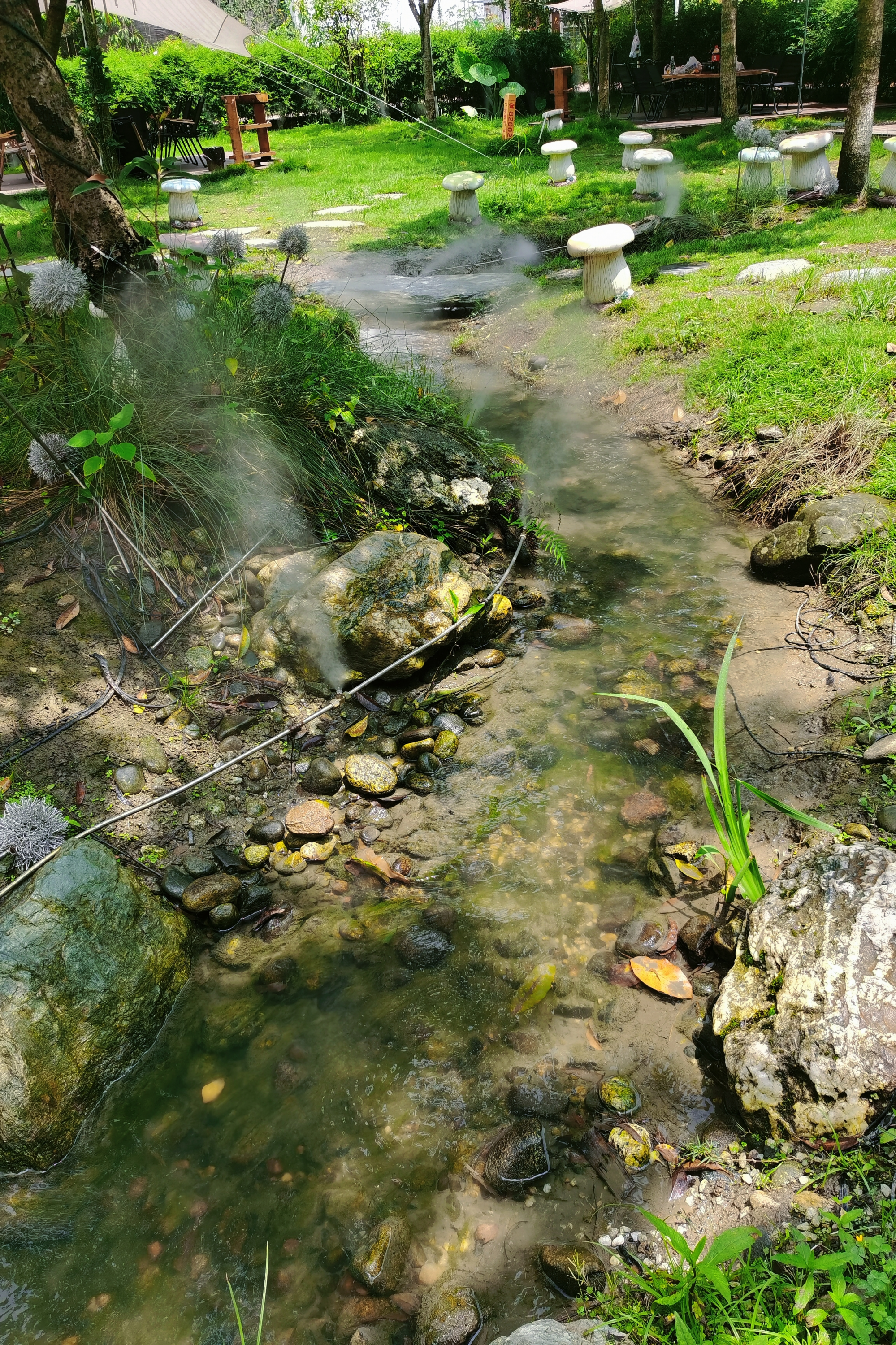 十八湾村露营基地内的小溪清澈见底（摄影 田燕飞）