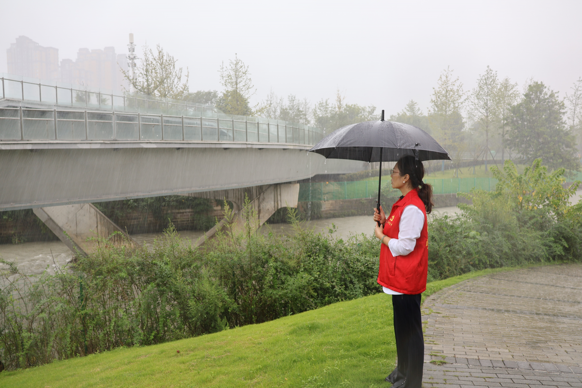 最美巾帼护河人张静冒雨巡河（摄影 毛雪）