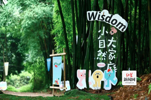 山野有声金苹果320