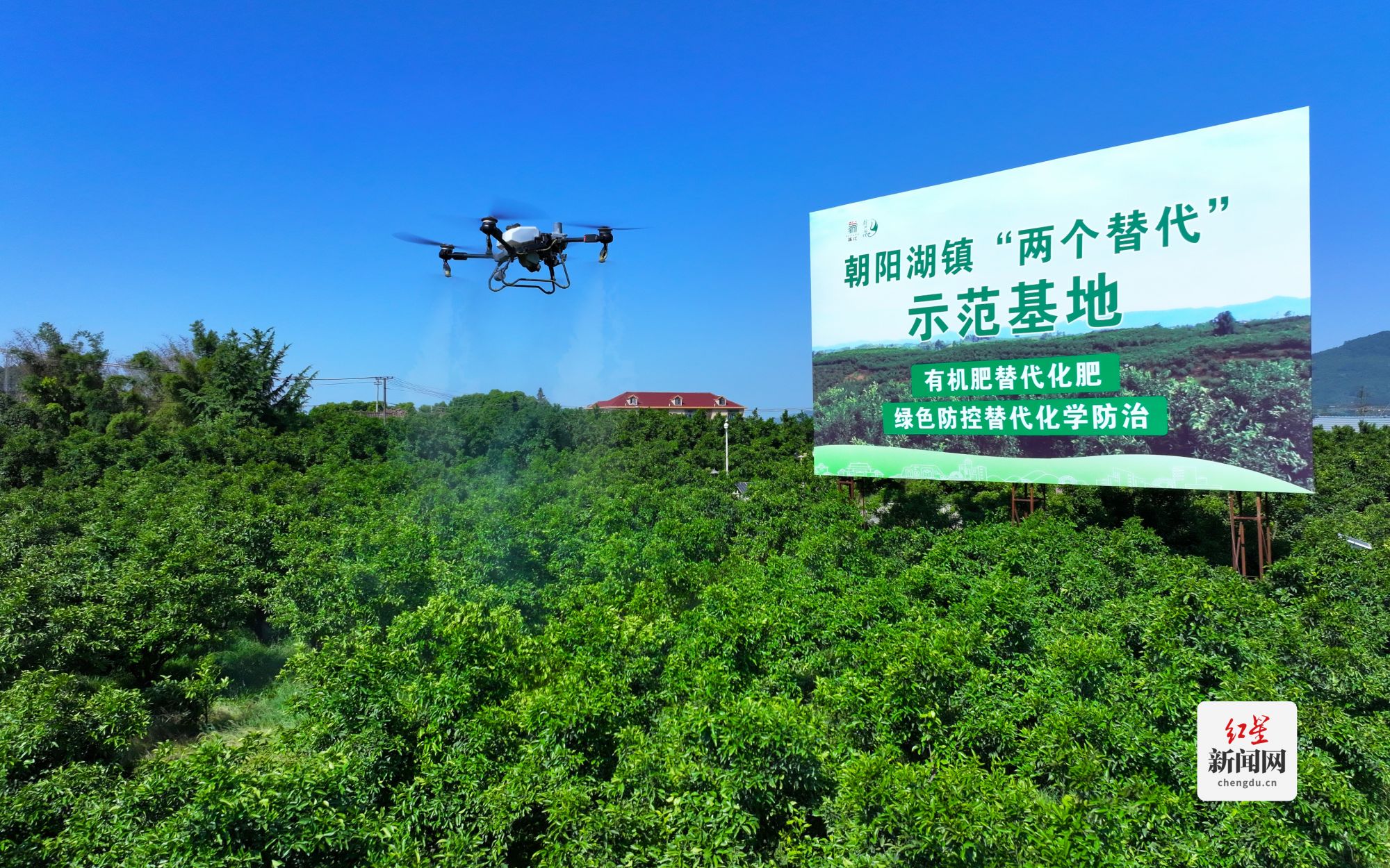 蒲江朝阳湖镇“两个替代”示范基地  尹枭鸿摄影