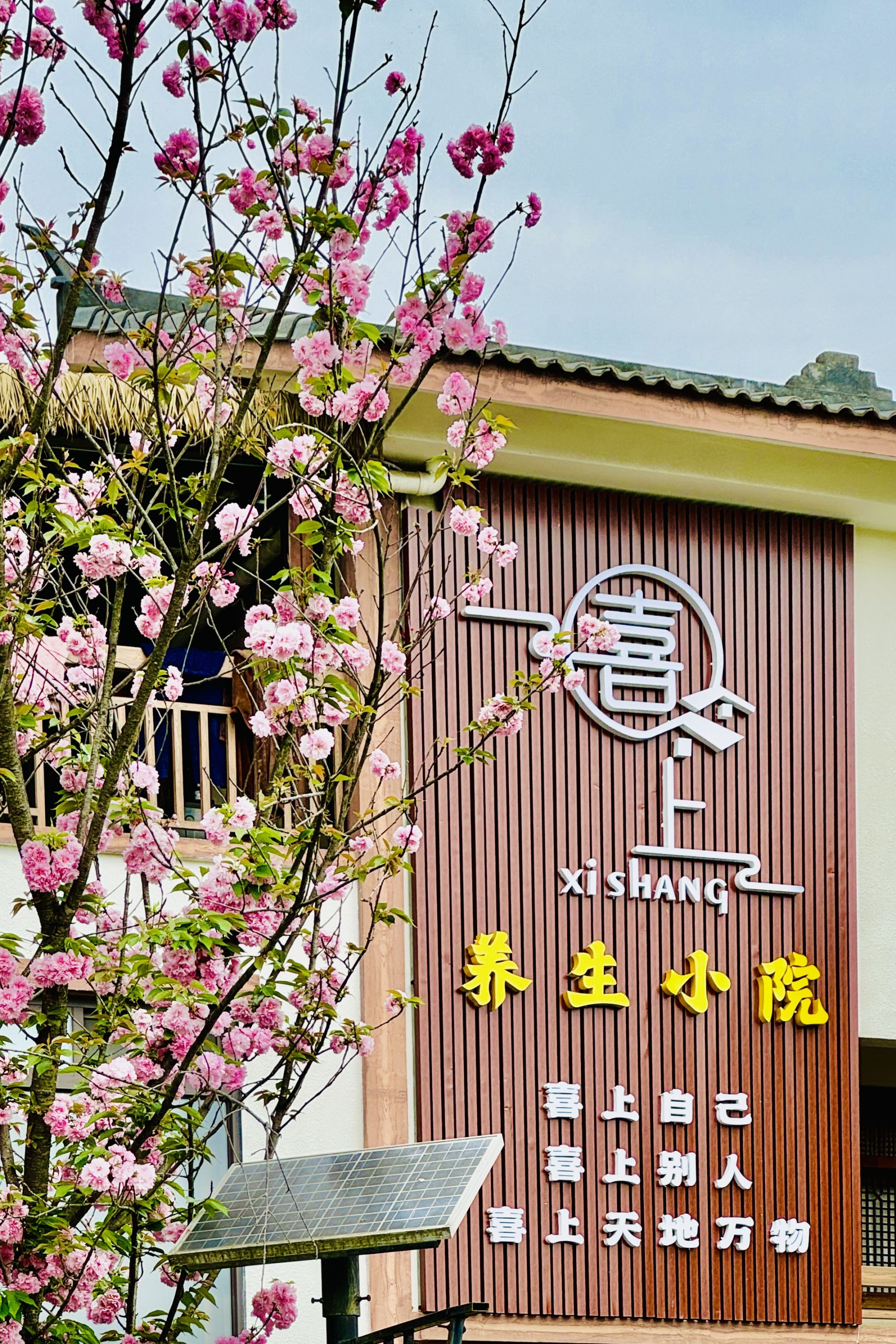 3.喜上养生小院