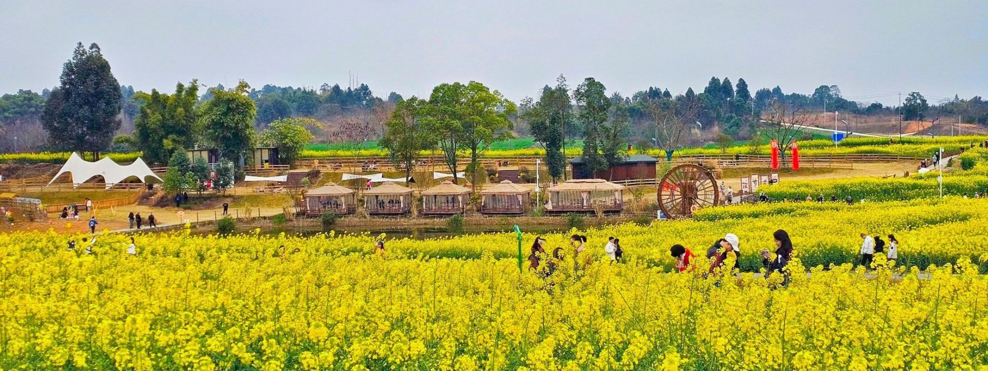3.广都博物馆瞿上田园