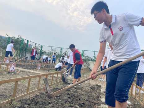 在管理阶段，学生们轮流负责浇水和施肥，学习如何根据植物的生长情况和天气情况合理安排这些工作。除草和除虫则让他们认识到生态平衡的重要性，师生们尽量采用物理和生物方法来处理这些问题，避免使用化学农药。