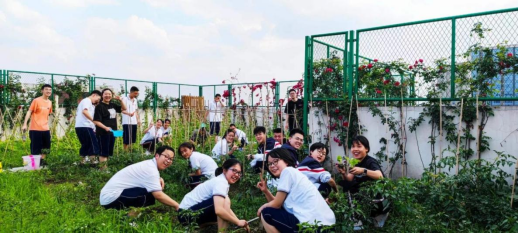 收获的季节到来时，学生们亲手采摘成熟的果实和蔬菜，那种成就感让他们兴奋不已。苏雯还邀请了厨艺了得的家长，教学生们如何将这些新鲜食材烹饪成美味的菜肴。通过这个过程，学生们不仅学会了如何种植，还了解了食物的来源和健康饮食的重要性。