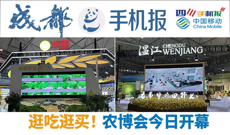 手机报头图（三个logo集合）