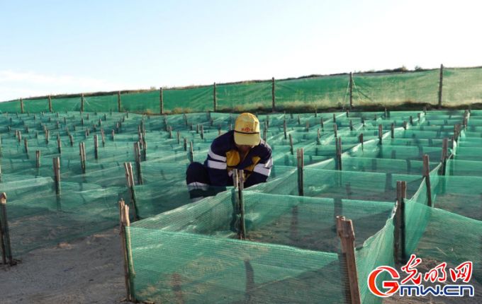 发现最好意思铁路｜铁龙奔腾！抒写中欧班列草原丝路新篇章