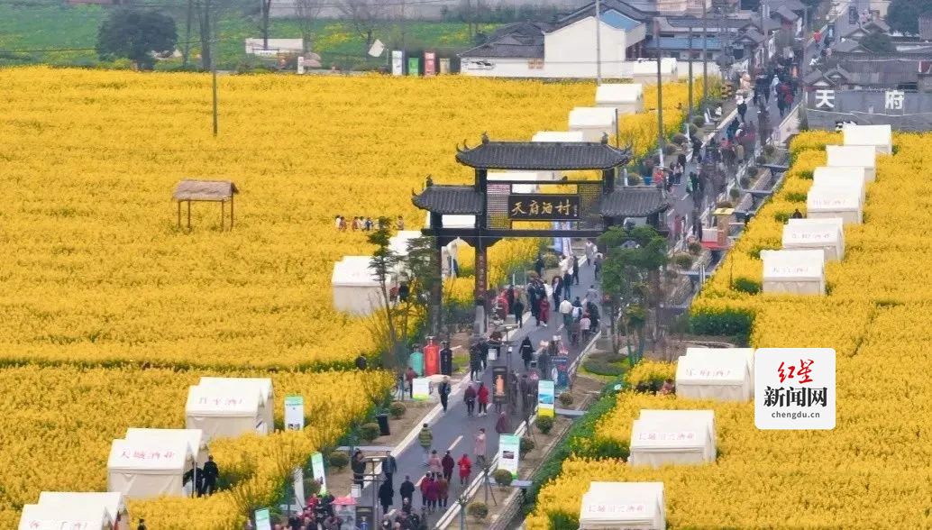 天府酒村集市