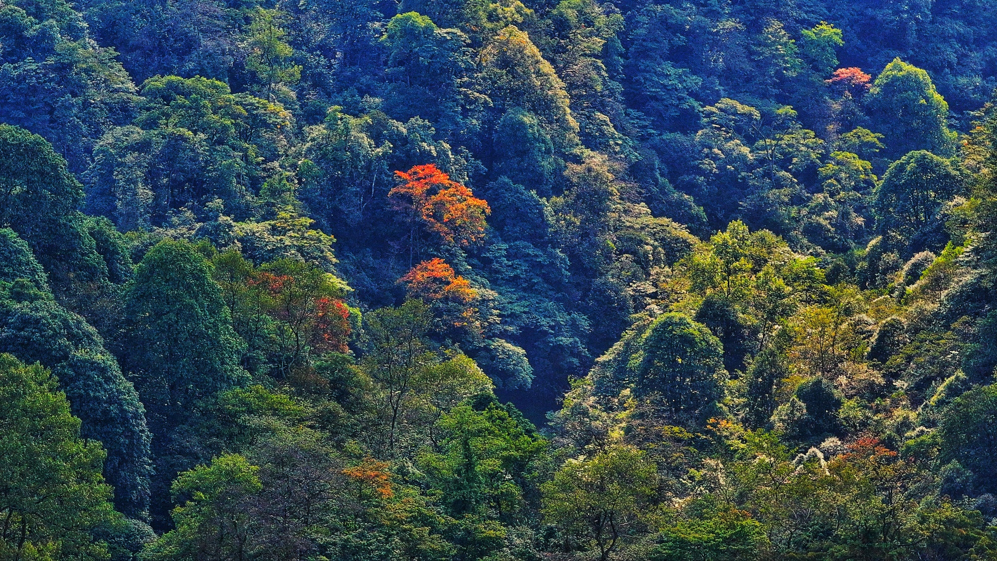 天台山秋色