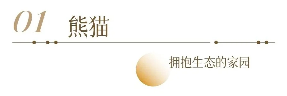 640.webp (7)