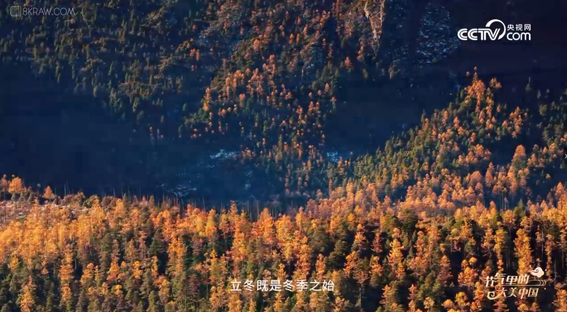 微信截图_20241107192806