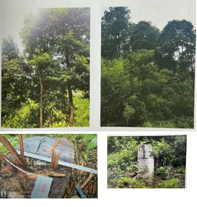 微信截图_20241125103053