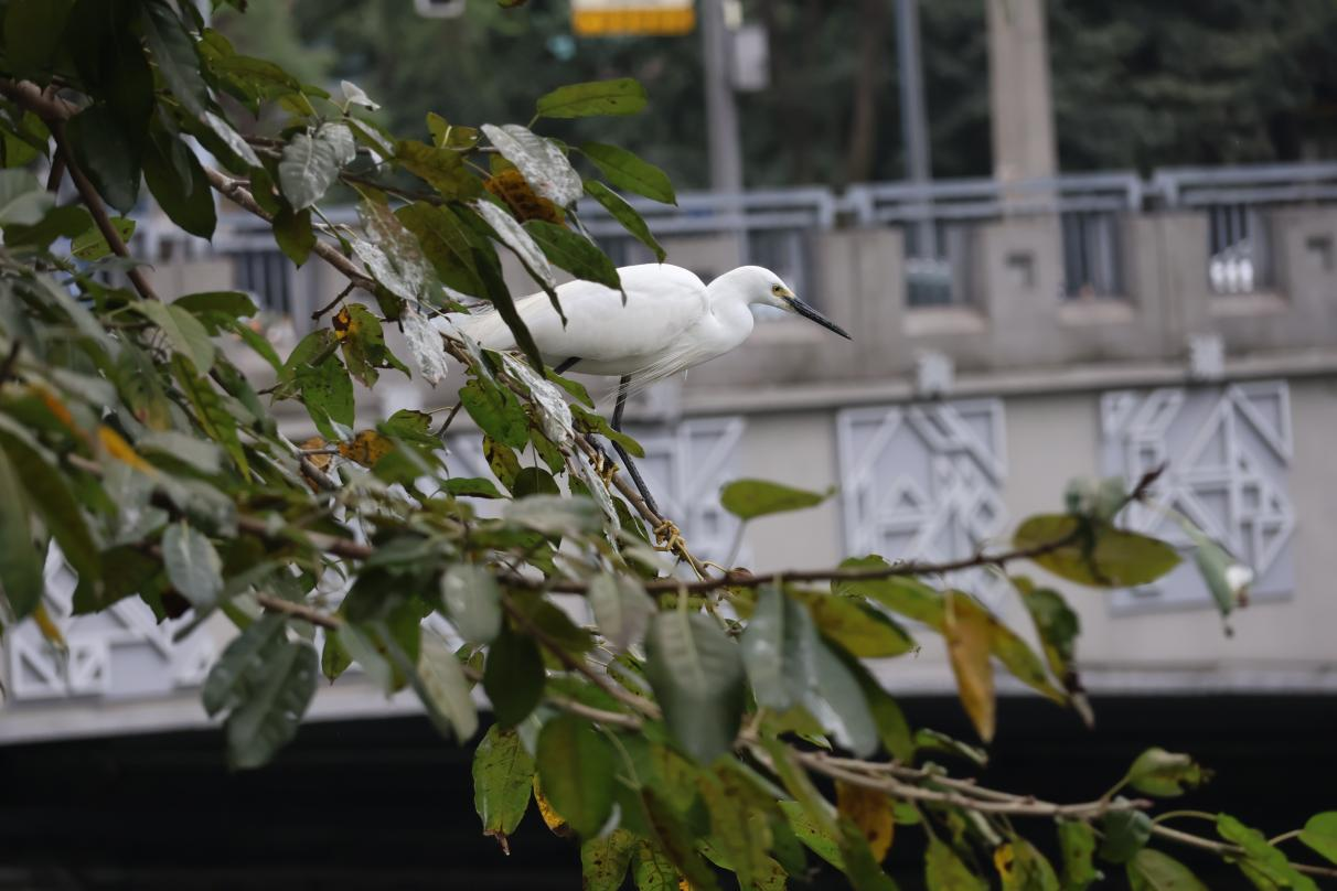 摄影：毛雪